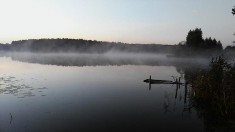 Утренний туман над водой