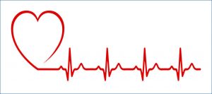 Сердце и кардиограмма.