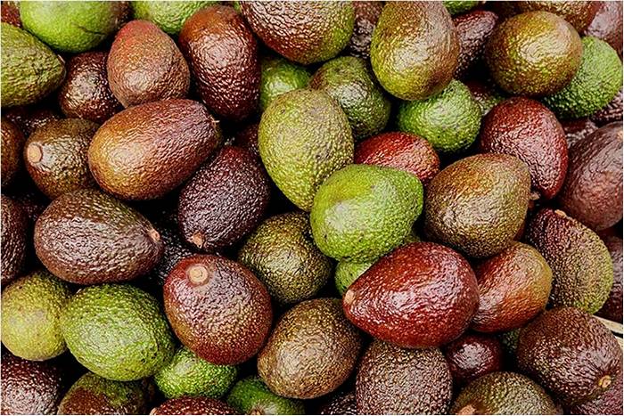 Разноцветные плоды авокадо (чем полезно авокадо)