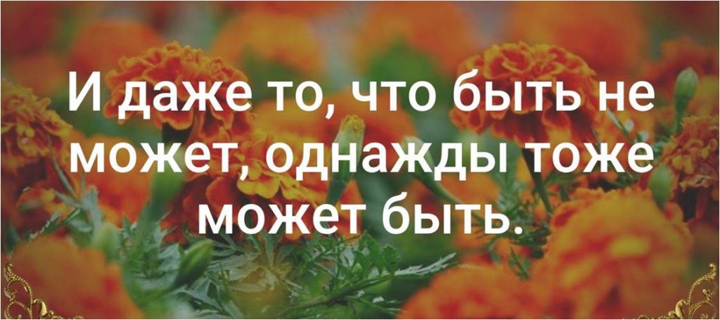 Умная мысль.