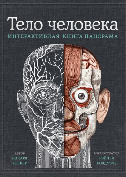 Книга Тело человека.