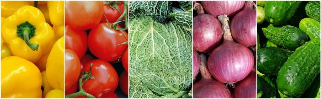 Коллаж из овощей - капуста, помидоры, огурцы, перец, лук.