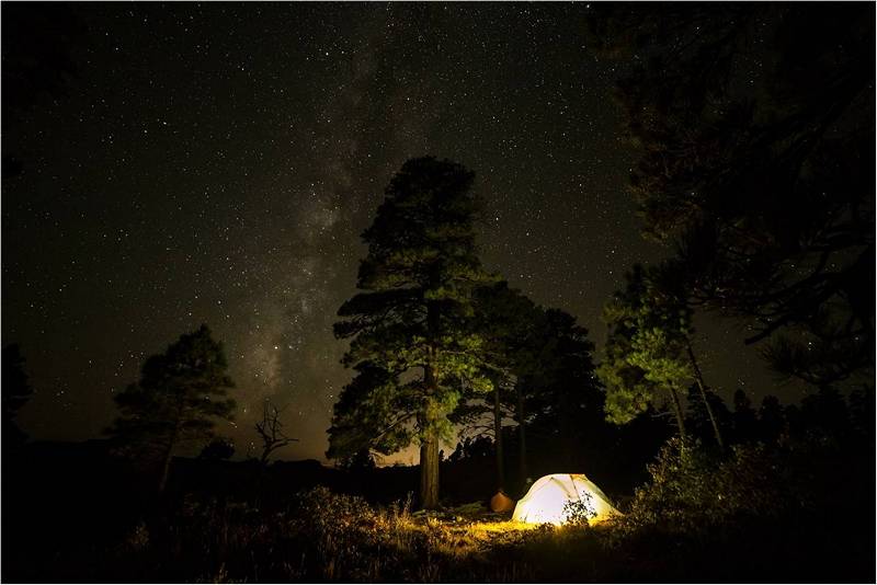 палатка ночью в лесу, что брать в поход.
