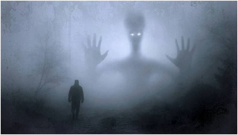 Серый призрак в лесу.